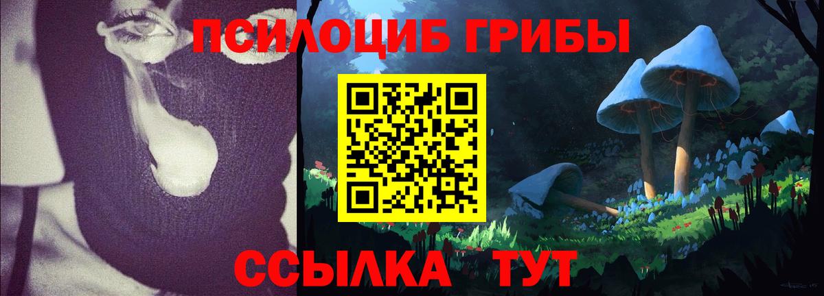 Псилоцибиновые грибы GOLDEN TEACHER  Вход с VPN  Магадан 