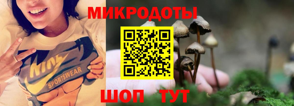 Псилоцибиновые грибы прущие грибы Магадан